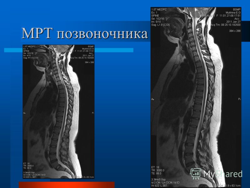 Поделки из тыквы с овощами Поделки из тыквы с овощами
