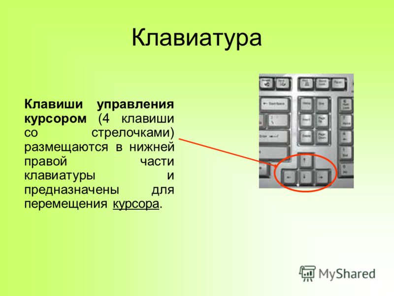 Клавиатура Клавиши управления курсором (4 клавиши со стрелочками) размещаются в нижней правой части клавиатуры и предназначены для перемещения курсора.