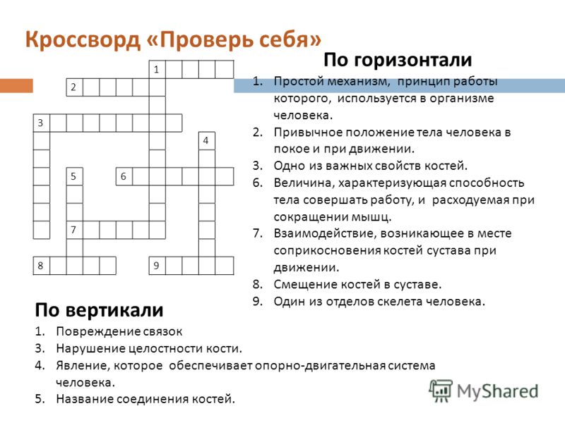 цена кроссворд на тему органы человека команды будет определен
