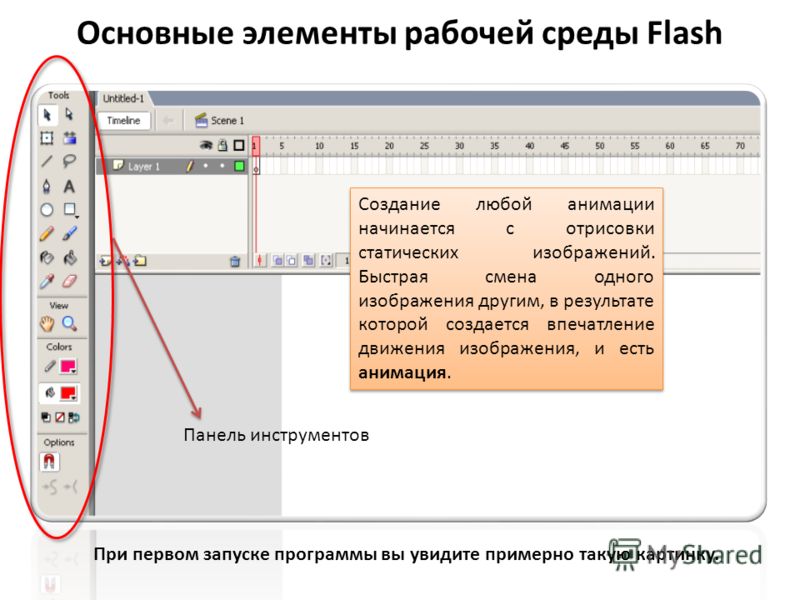 macromedia flash скачать программу