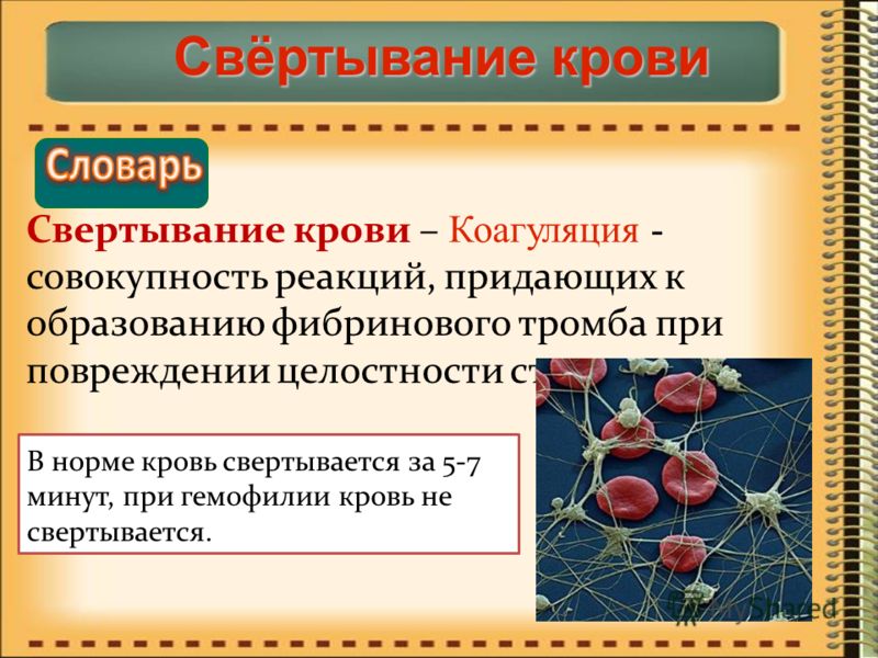 Лечение плохой свертываемости крови у беременных 69