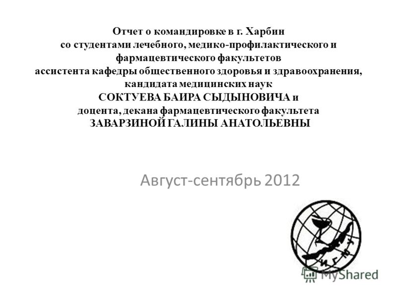 образец отчёта по командировке