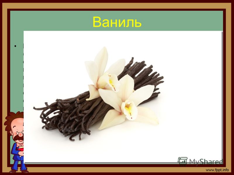 Как готовить соус болоньезе дома