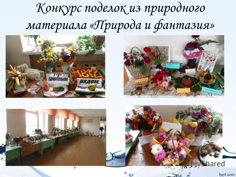 Положение о конкурсе поделок их природного материала Положение о конкурсе поделок их природного материала