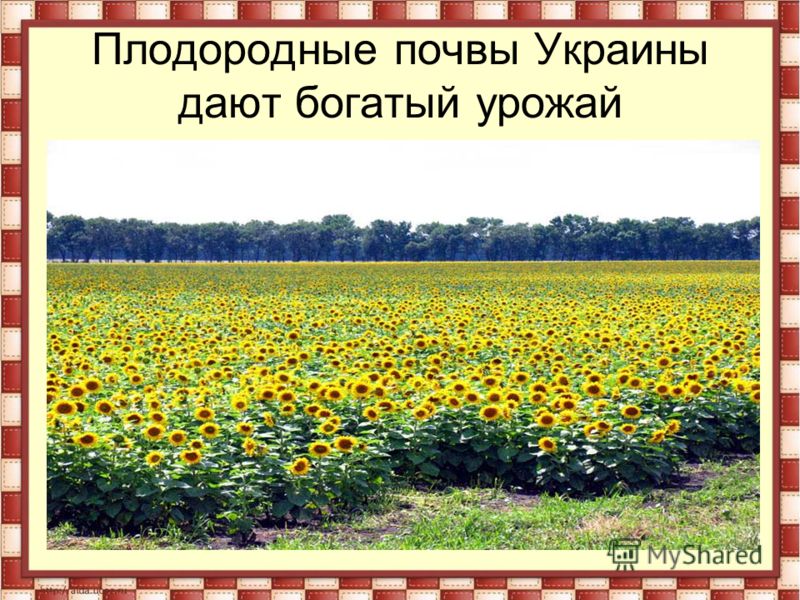 Почвы Украины Презентация