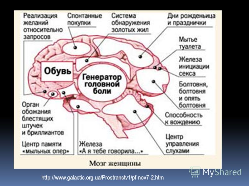 Схема женщины Схема женщины