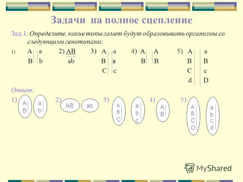 ГДЗ (решебник) Английский язык Rainbow English 5 класс Все публикации все для 1 С