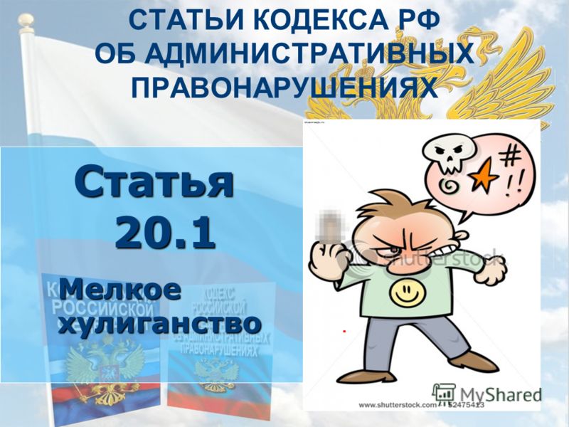 мелкое хулиганство ст.20.1 коап срок привлечения Странно то