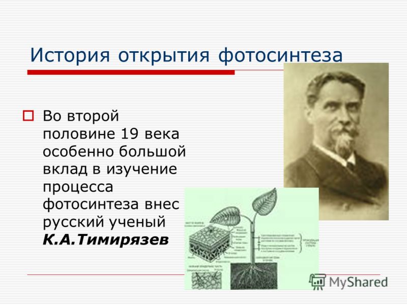 Учёные открывшие фотосинтез Учёные открывшие фотосинтез