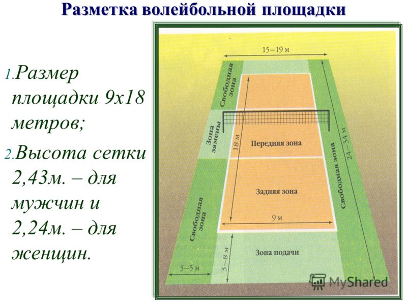 Волейбольная площадка размеры Волейбольная площадка размеры