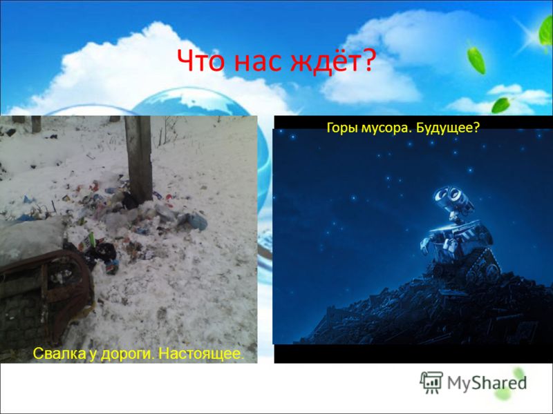 Экологический конкурс твой след на планете Экологический конкурс твой след на планете