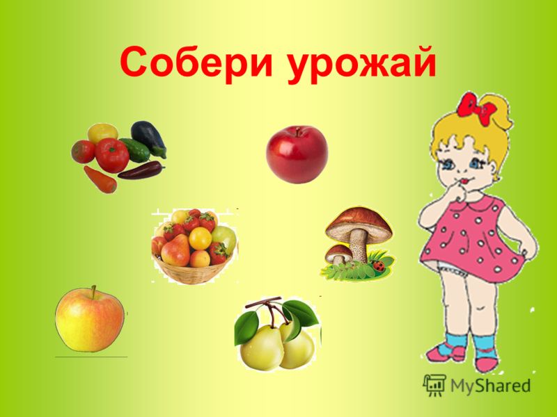 Дидактическая игра собери урожай Дидактическая игра собери урожай
