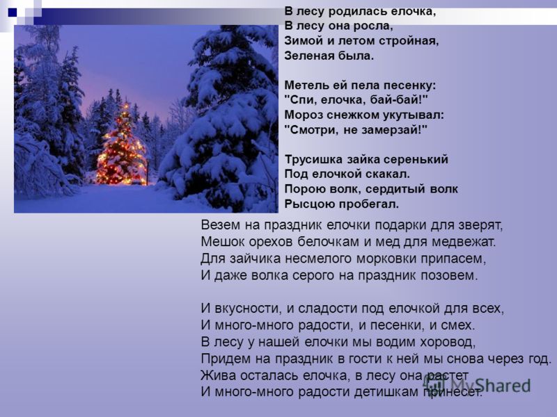 Стих песни в лесу Стих песни в лесу