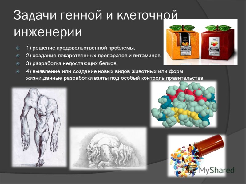 Понятие о биотехнологии и генной инженерии презентация