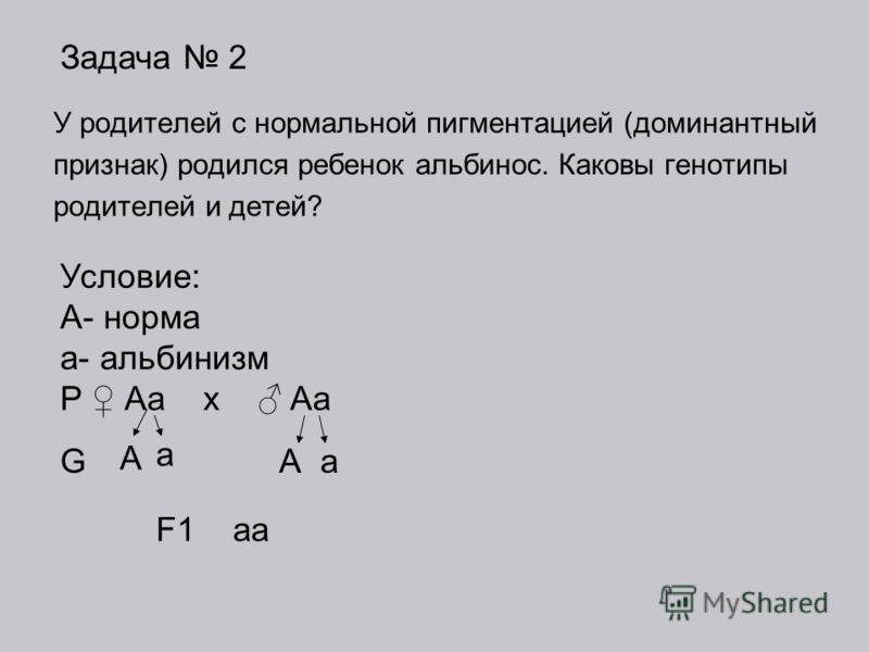 Проект на тему история генетики