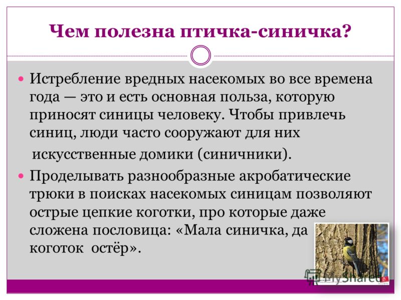 Раскраски личиков Раскраски личиков