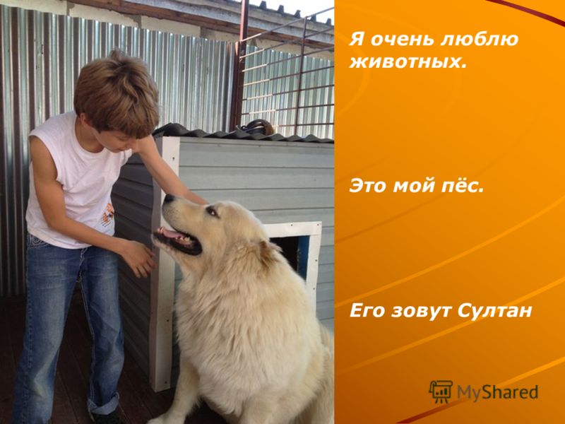 Конкурсы в день самоуправления в школе Конкурсы в день самоуправления в школе