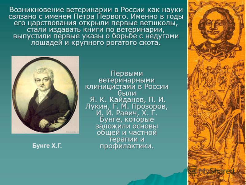 Вязаные шарфы и шапки спицами Вязание шапок, шарфов и беретов на Узелок. ру