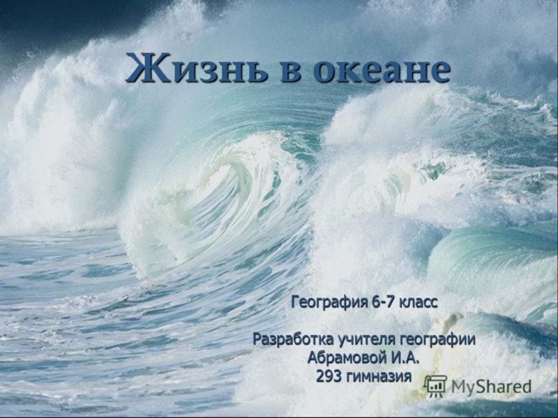 Презентация по географии 7 класс на тему жизнь в океане