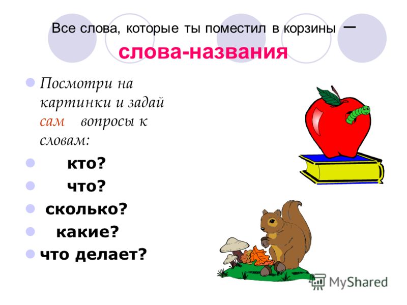 Русский язык 3 класс слова указатели