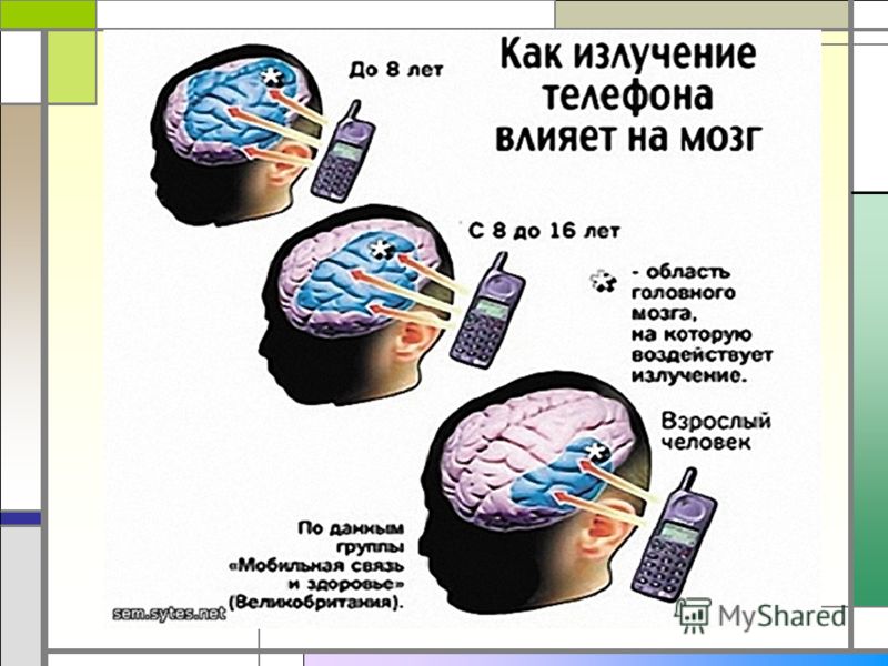 С чем связана опасность мобильных телефонов С чем связана опасность мобильных телефонов