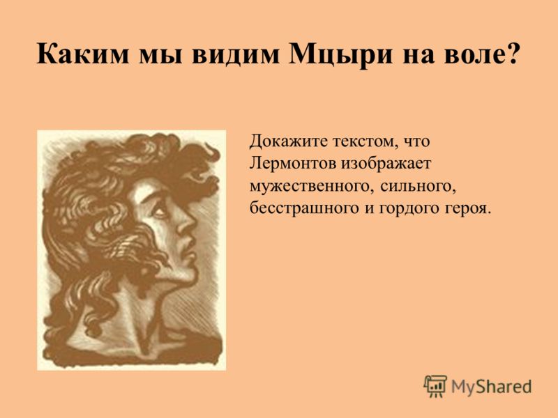 Цитаты тему мцыри Цитаты тему мцыри