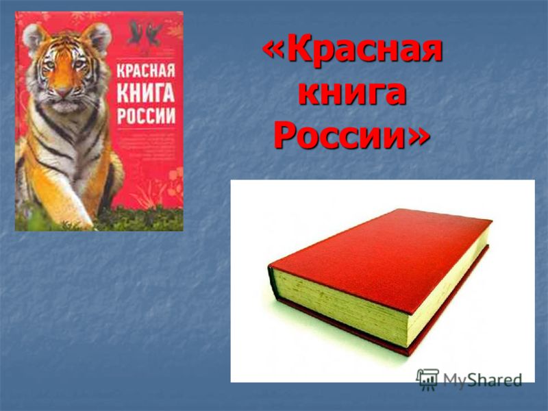 Скачать презентацию на тему красная книга россии