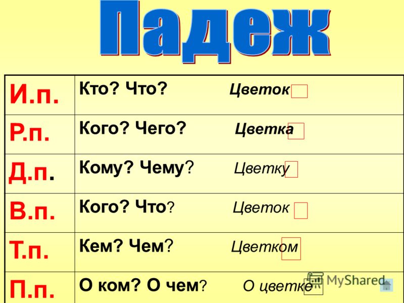 Какой падеж у расположении