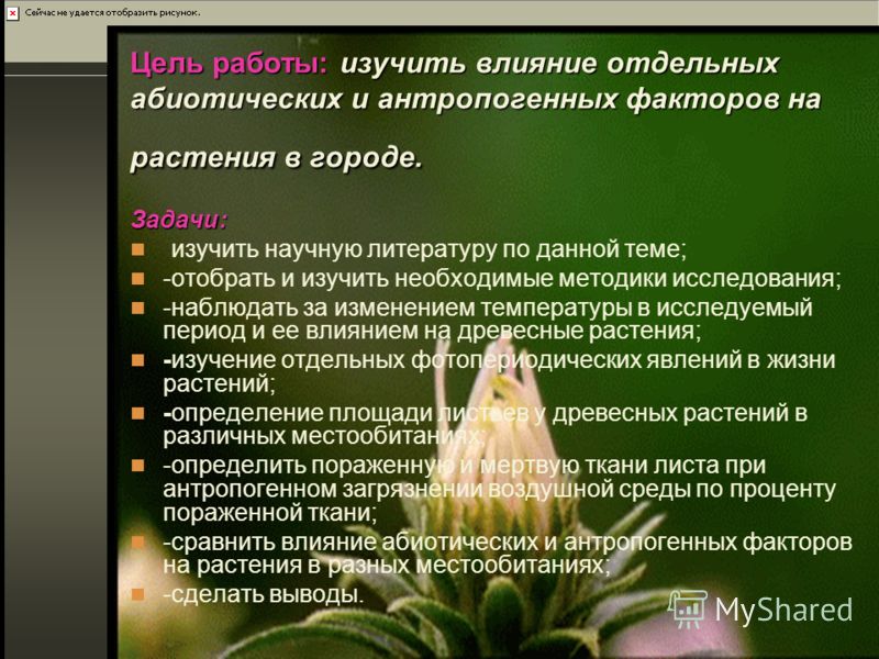 Влияние абиотических факторов на растения
