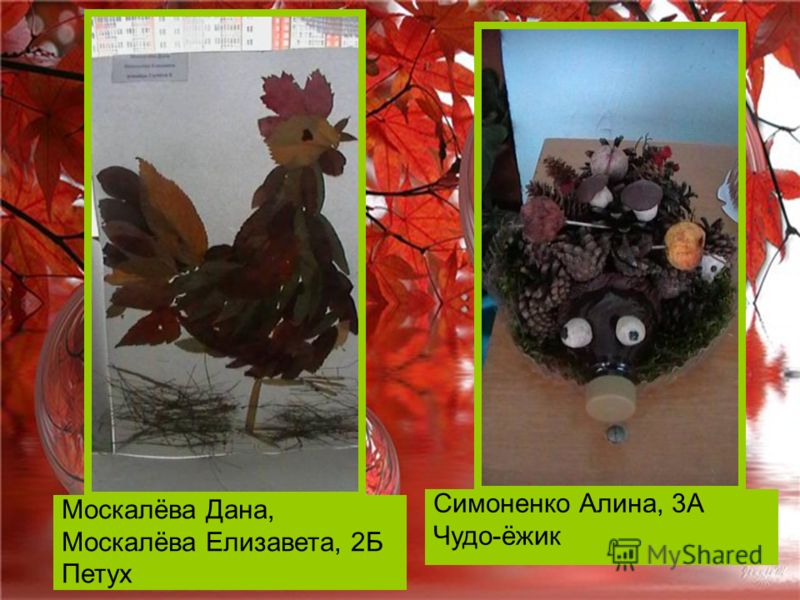 Мухомор из природного материала поделка Мухомор из природного материала поделка
