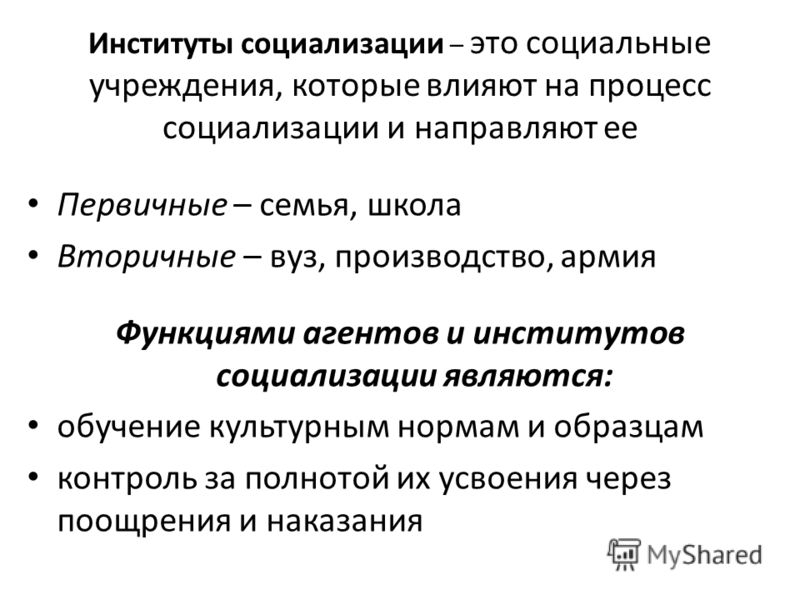 Институты социализации презентация