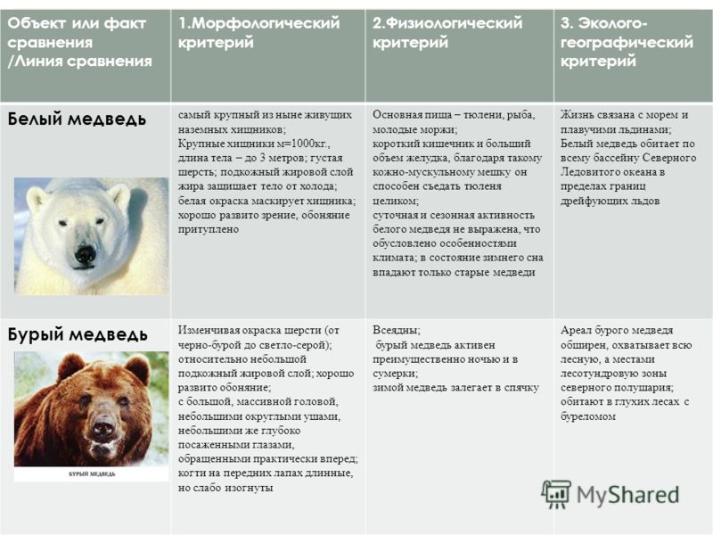 Презентация на тему: "Вид. Популяционная структура вида.. Понятие: Вид-это групп