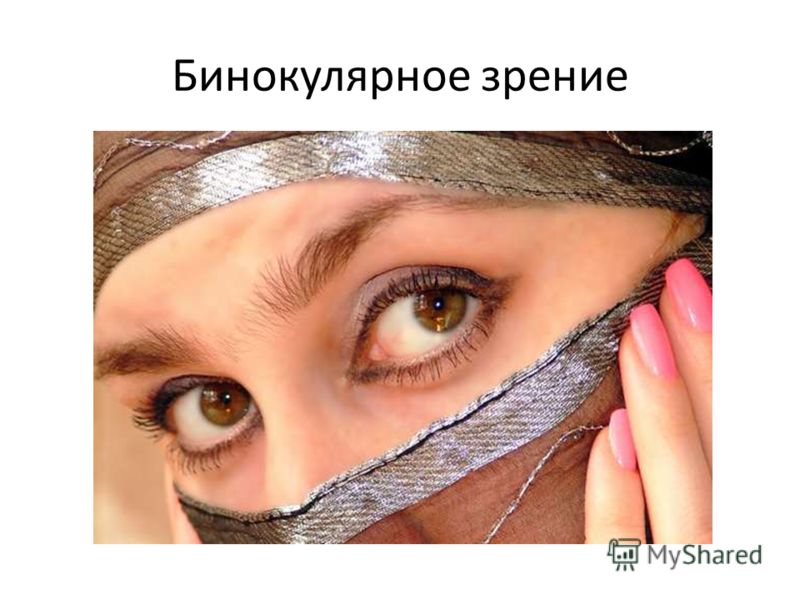 Купить очки для зрения ростов-на-дону