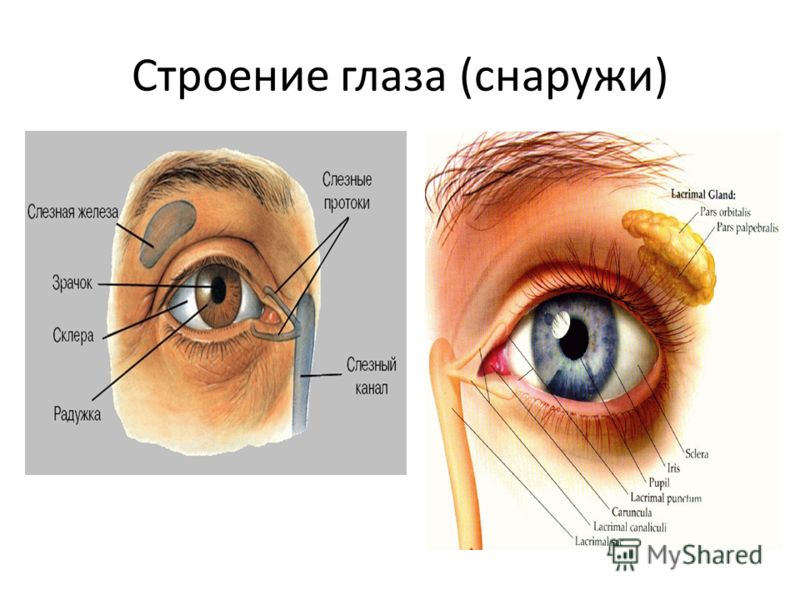 Что капать в глаза чтобы улучшить зрение