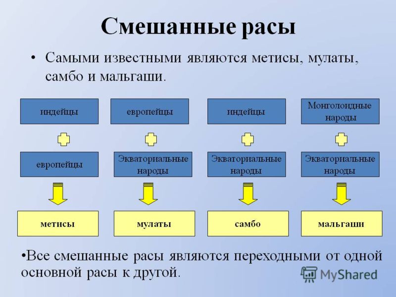 Презентацию На Тему Структура Населения Мира