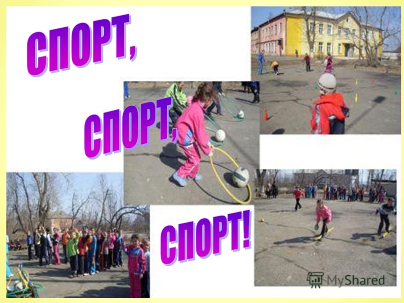 Пдд Выпуск 16 скачать