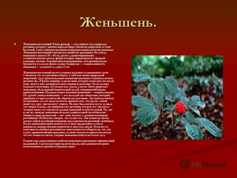 Растения красной книги презентация скачать
