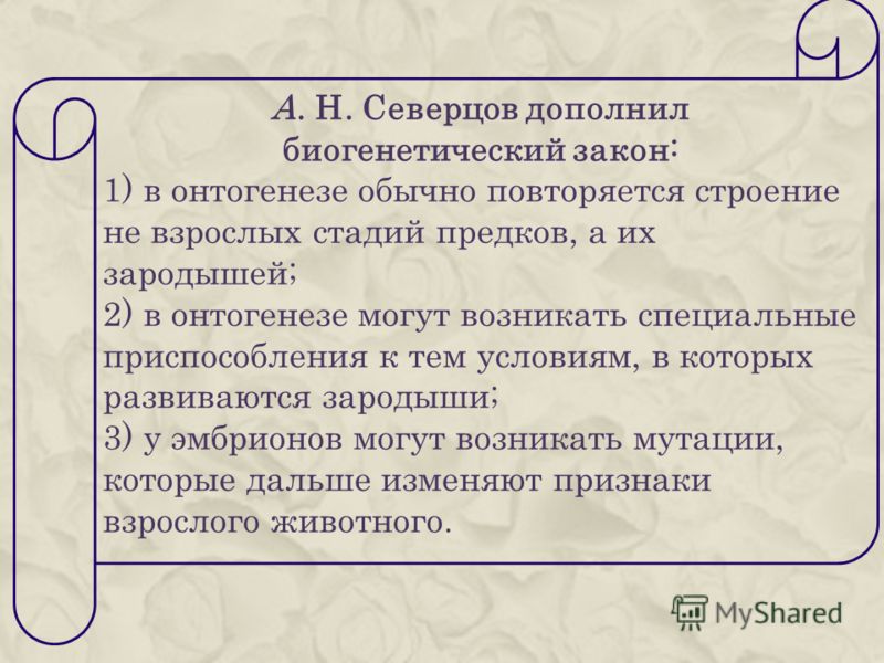 Биогенетический Закон Кратко Биогенетический Закон Кратко