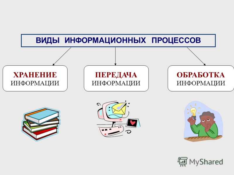 Доклад на тему информационные процессы по информатике 5391