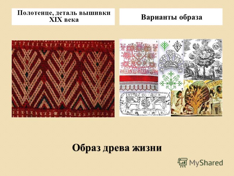 Образ древа жизни Полотенце, деталь вышивки XIX века Варианты образа