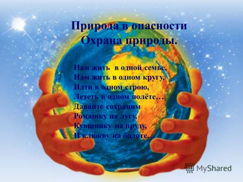 Картинки про мир и защиты природы Картинки про мир и защиты природы
