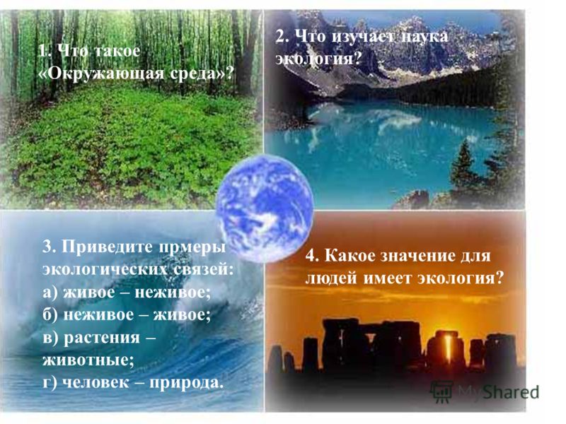 Картинки на тему семья природа Картинки на тему семья природа