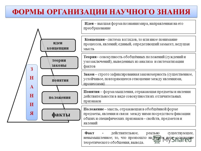 к поппером в работе логика исследований было обосновано к поппером в работе логика исследований было обосновано