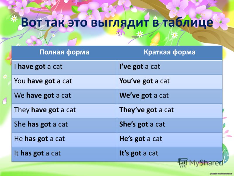 Has в английском языке правило примеры Have got has таблица - справочник Mohs.ru