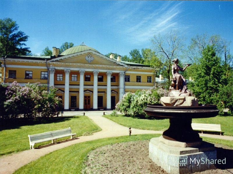 медицинские средства паразитов в организме человека медицинские средства паразитов в организме человека