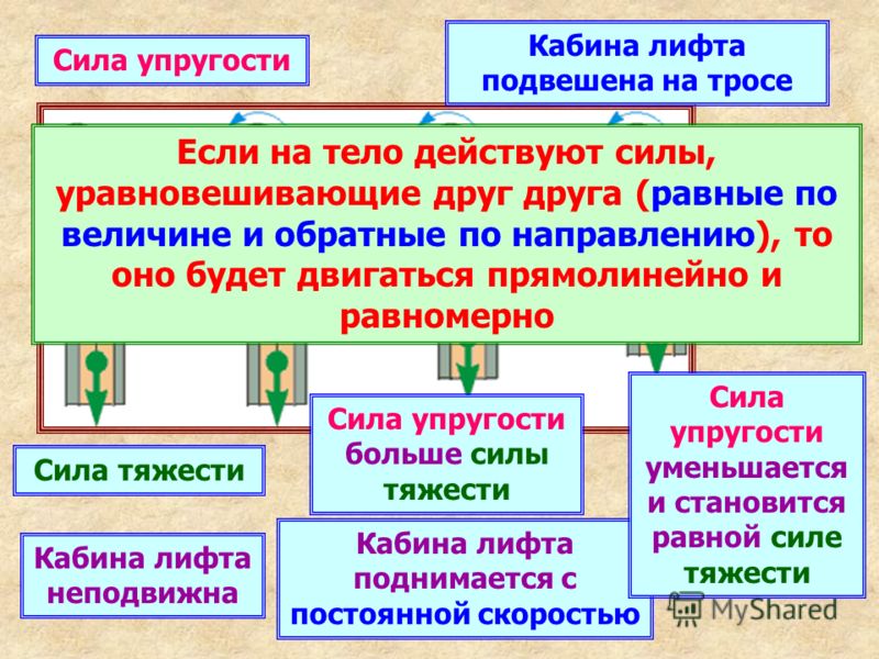 Презентация 8. Сила упругости. Закон Гука