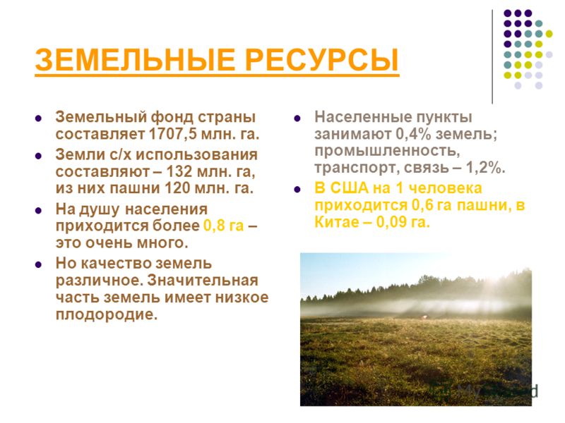 Доклад по теме Природные ресурсы России 