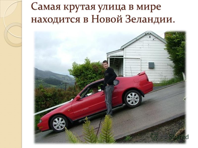 Самая крутая улица в мире находится в Новой Зеландии Самая крутая улица в мире находится в Новой Зеландии