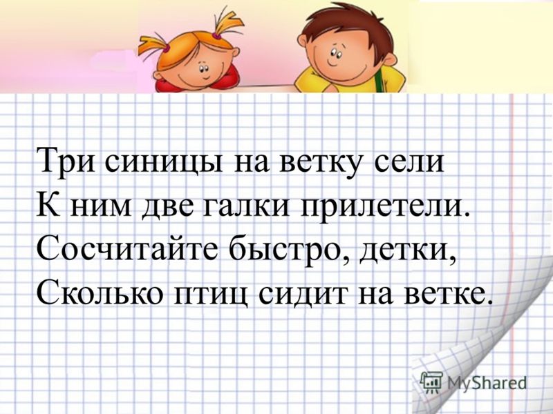 Почему животные не впадают в спячку Почему животные не впадают в спячку