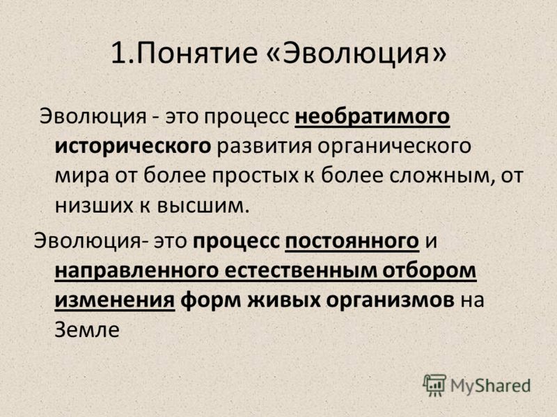 Эволюция определение и примеры